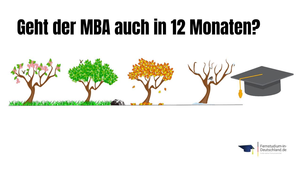 MBA Fernstudium 12 Monate