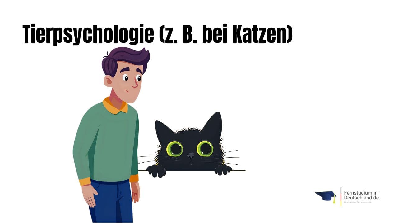 Illustration SGD Tierpsychologie Katzen