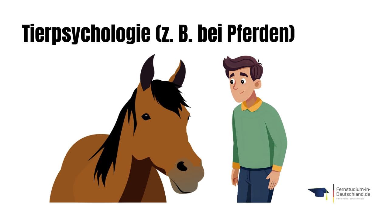 Illustration SGD Tierpsychologie Pferde
