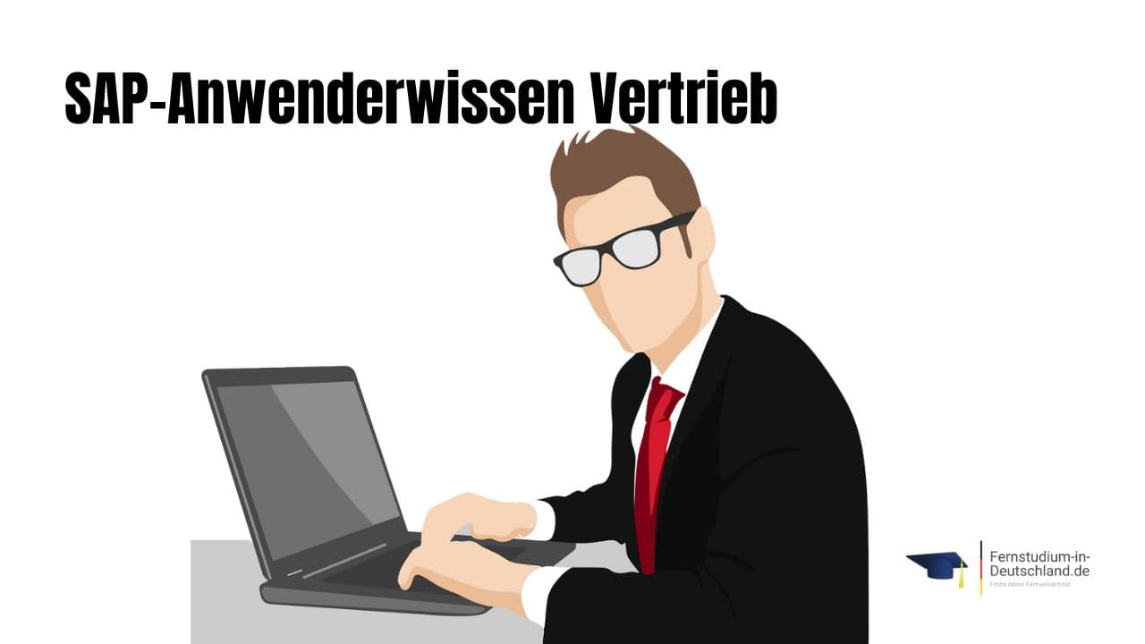 Illustration SGD SAP Vertrieb